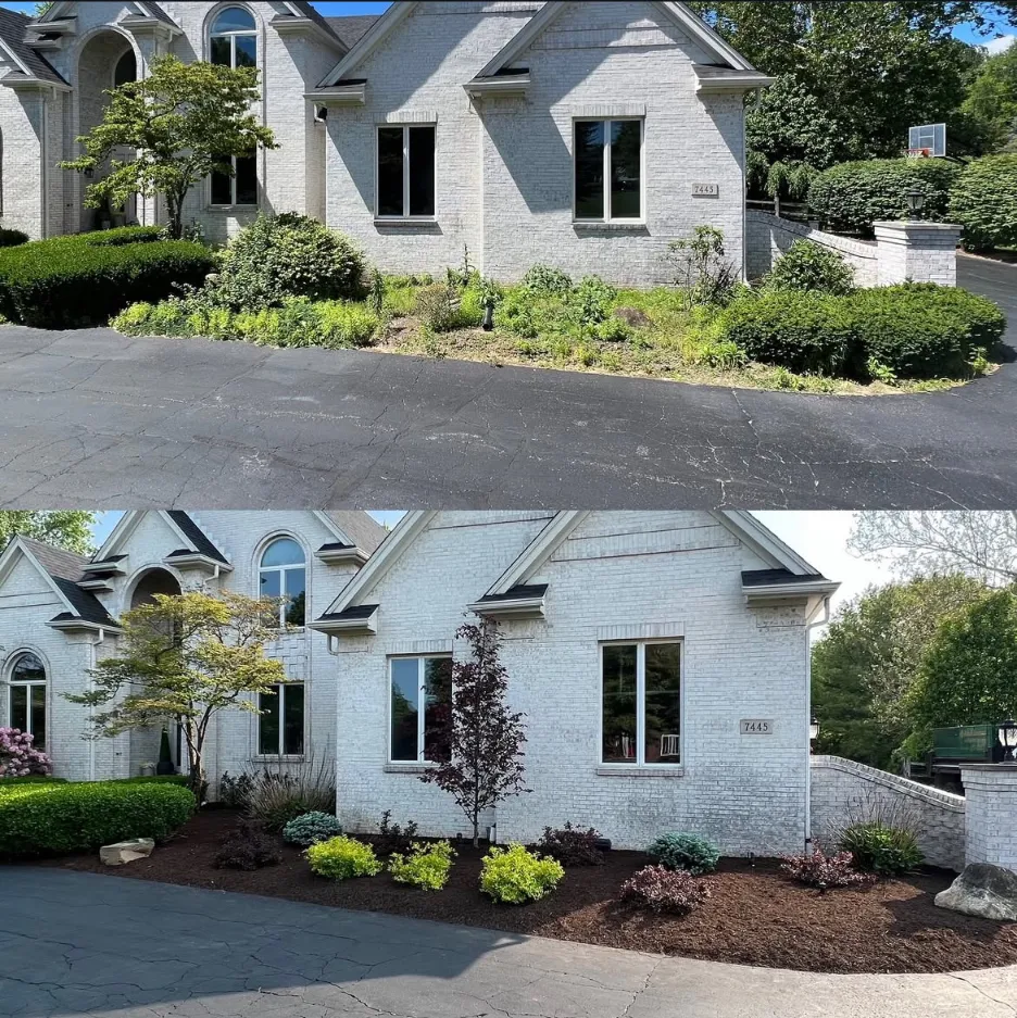 Landscaping Before and After structural transformation