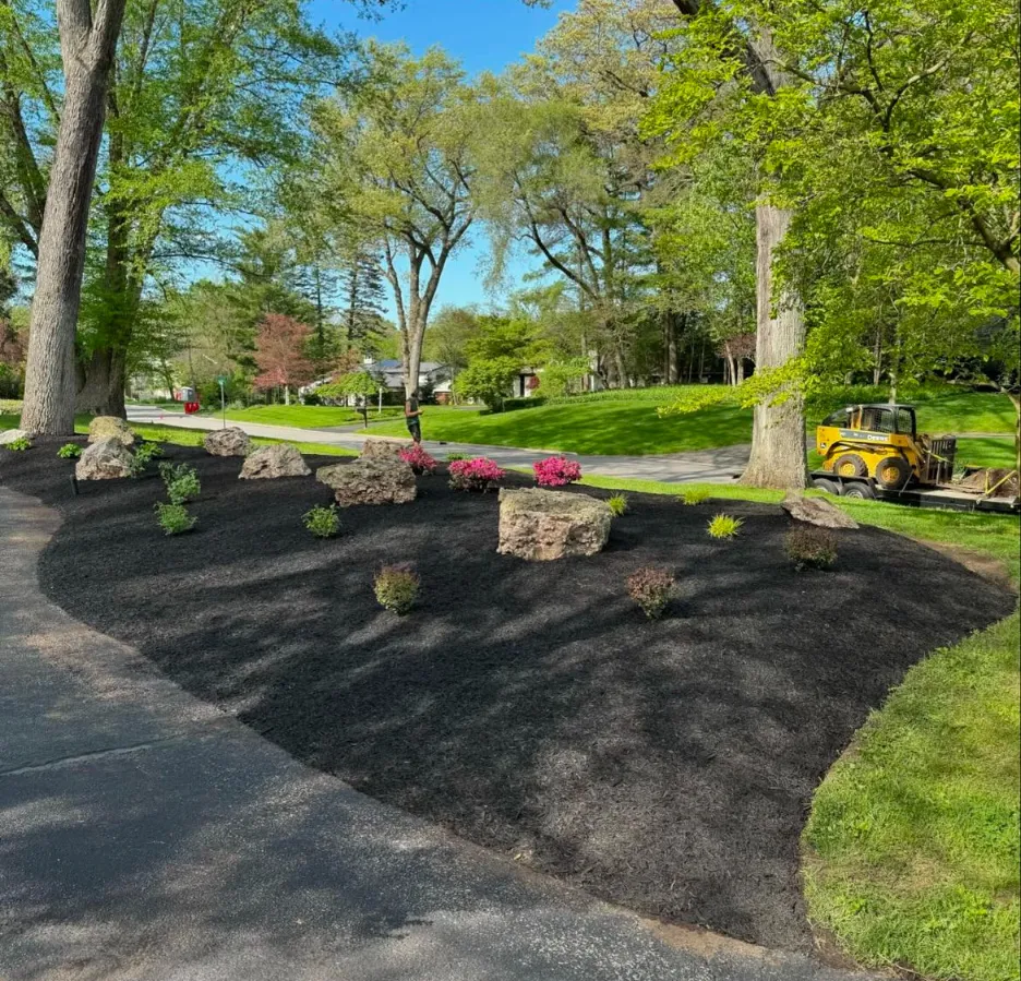Fresh black organic mulch installation
