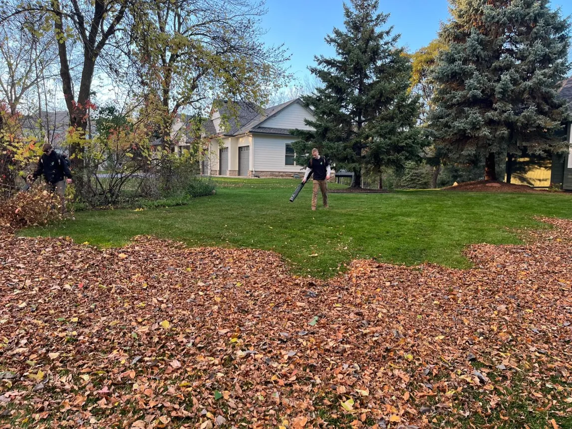 Aggressive Spring and Fall Yard Cleanup