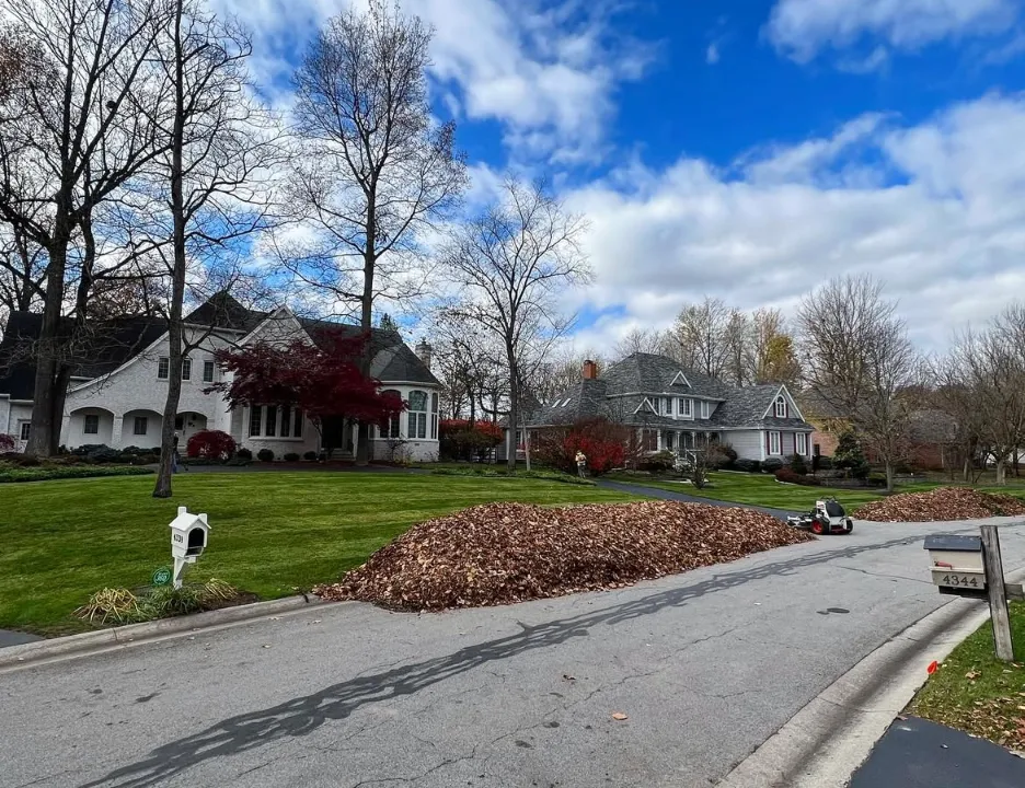 Freshwater Landscaping commercial leaf cleanup team at work