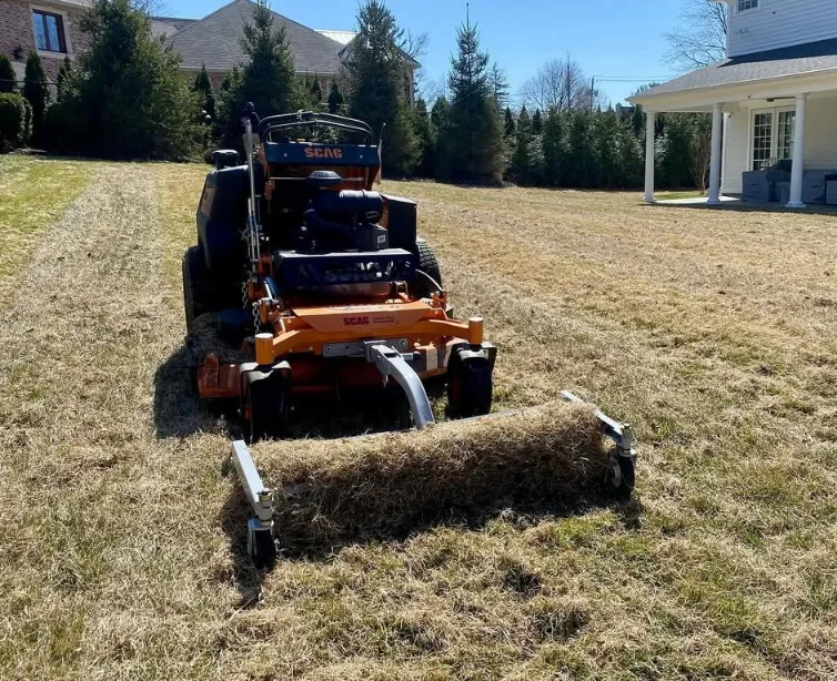 Mechanical Power Raking and De-thatching