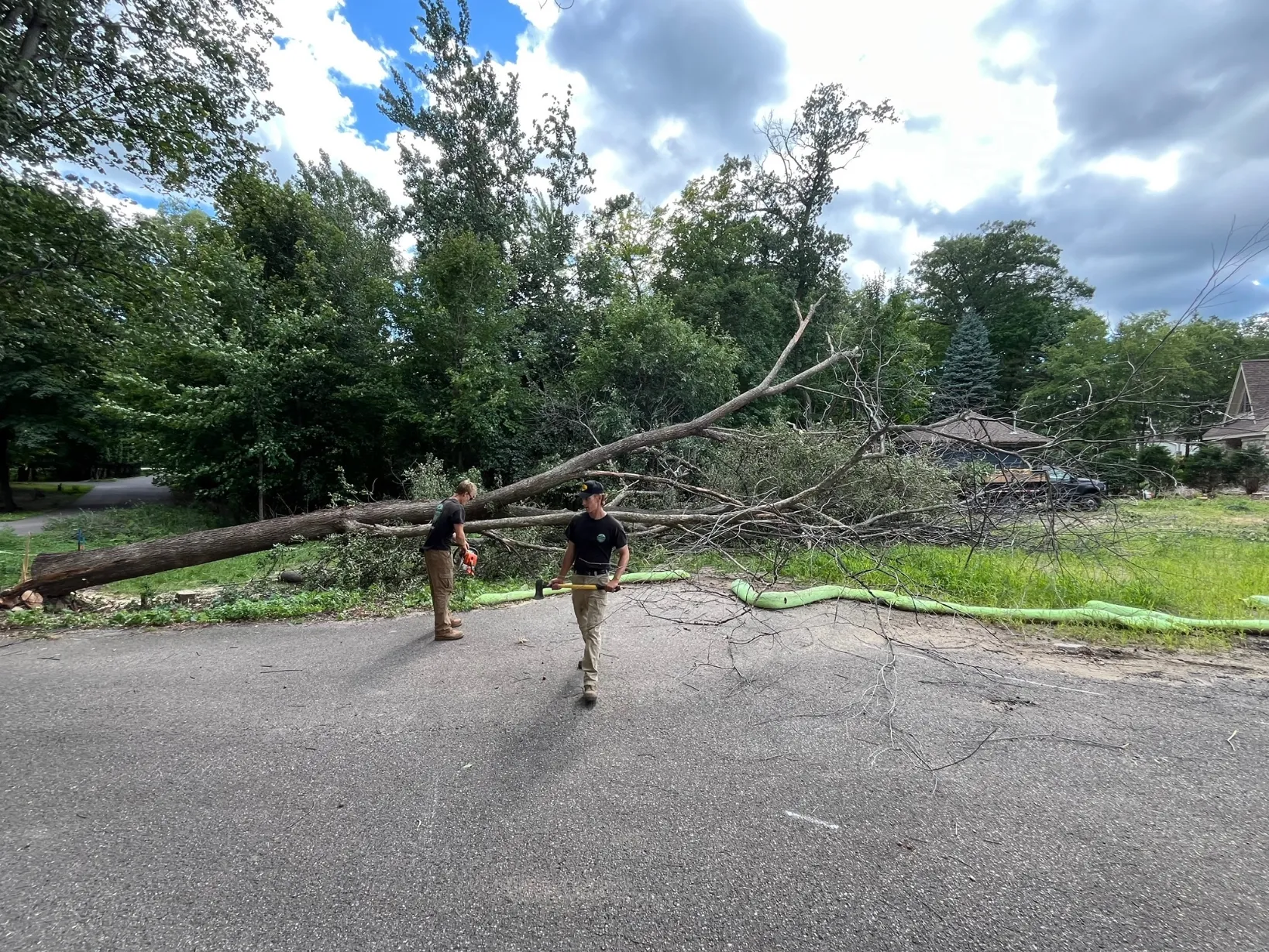 Emergency storm damage tree extraction