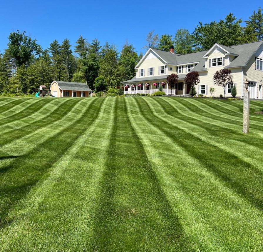 Lawn Fertilization and Weed Control