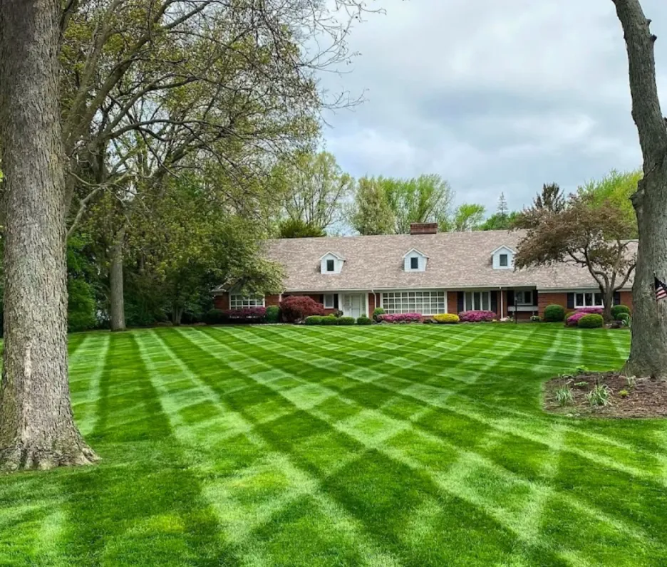Professional Lawn Care and Fertilization