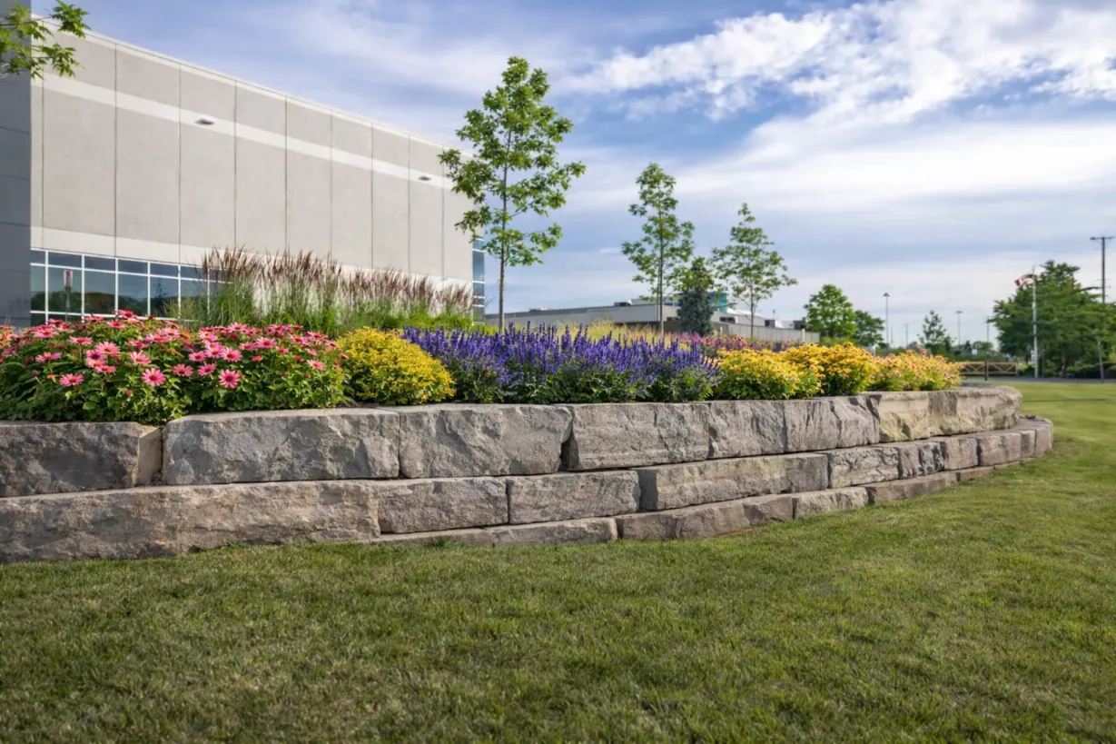 Landscape design meeting on site reviewing elevations