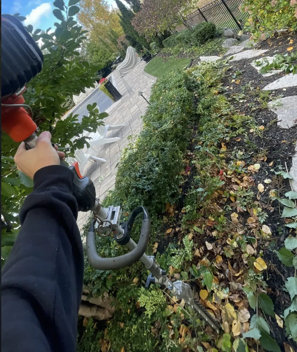 Freshwater Landscaping professional crew inspecting plant health