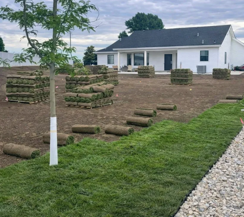 High quality, freshly cut Minnesota turf rolls being prepared for installation