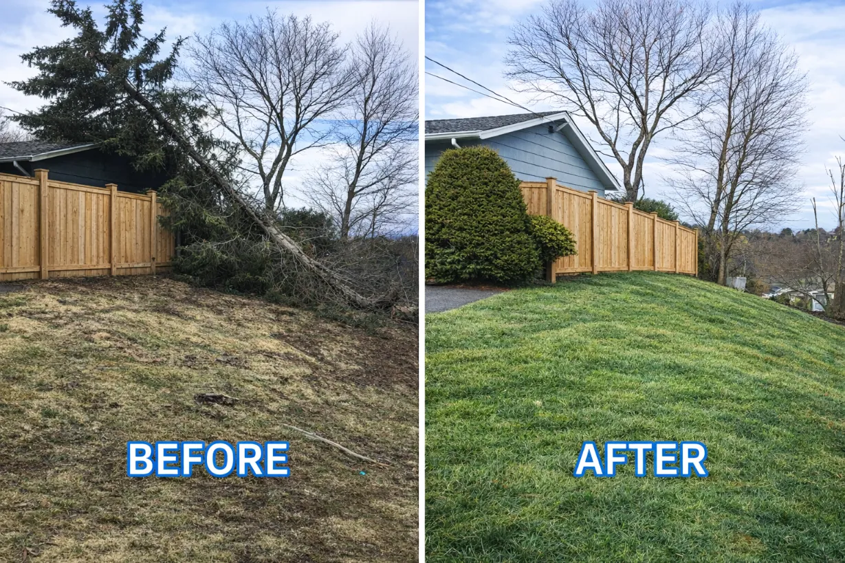 Professional arborist safely rigging and removing a dangerous hanging limb