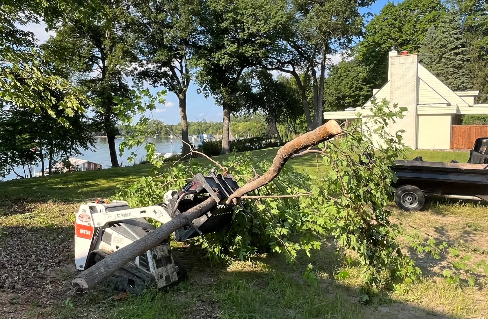 Professional Hazardous Tree Removal Chanhassen